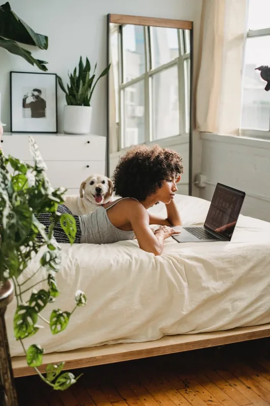 hund i sengen ved computeren