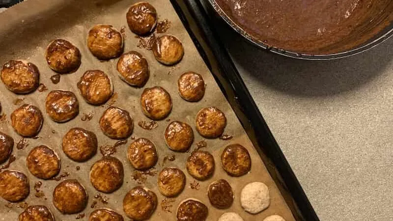 Skovfogedens penslede hundekiks