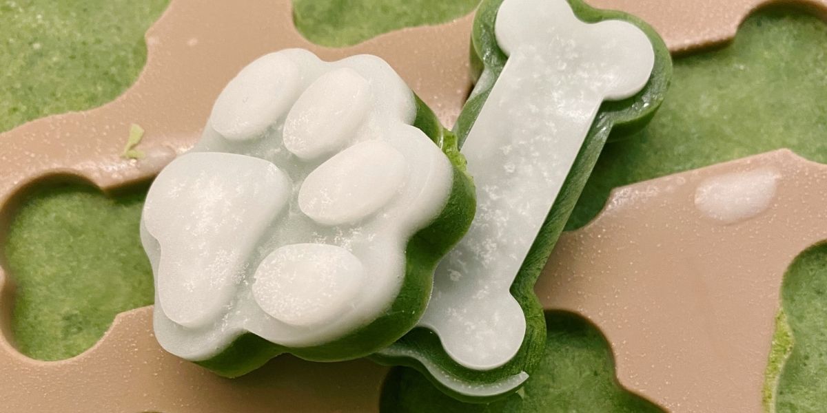 hjemmelavede mintpastiller til hund mod dårlig ånde