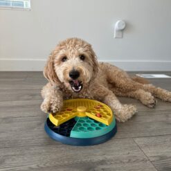 Aktivitetslegetøj til hunde